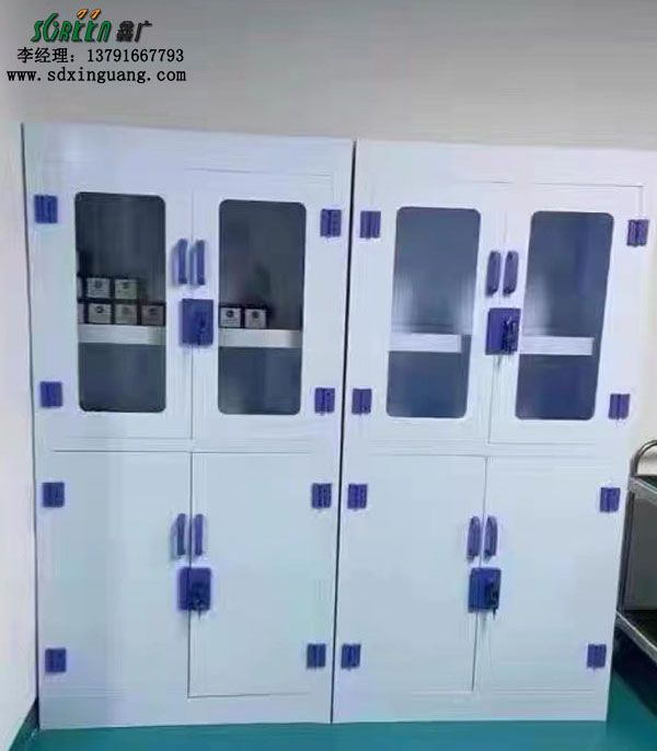 山东潍坊实验室药品柜 强酸强碱柜 硫酸盐酸存放柜