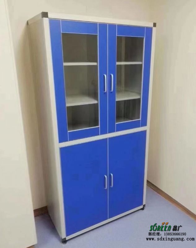 潍坊铝木药品柜 全钢药品柜 PP药品柜 实验室家具