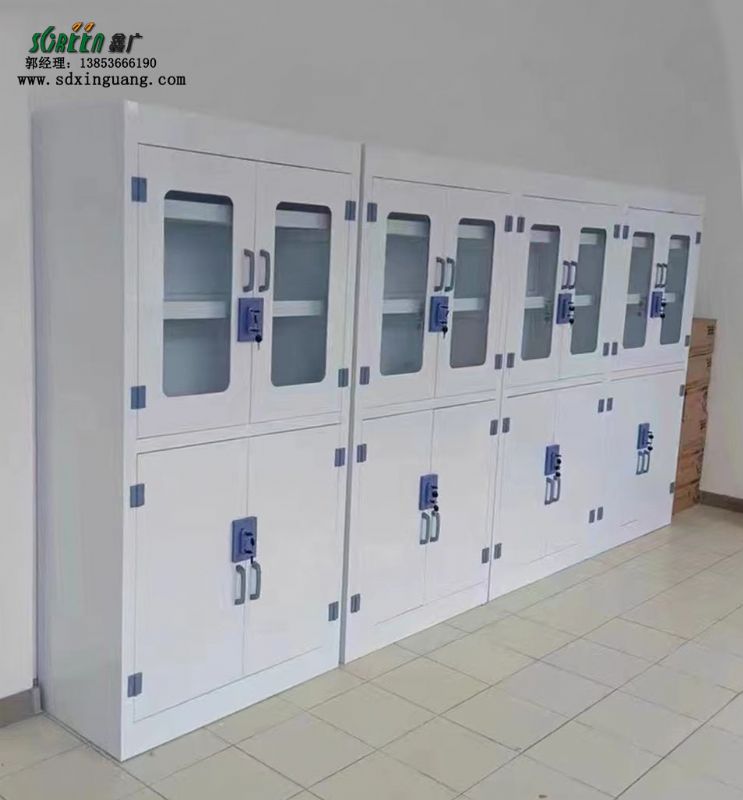 山东鑫广PP耐酸碱器皿柜 化学药品柜 实验室药品存储柜供应