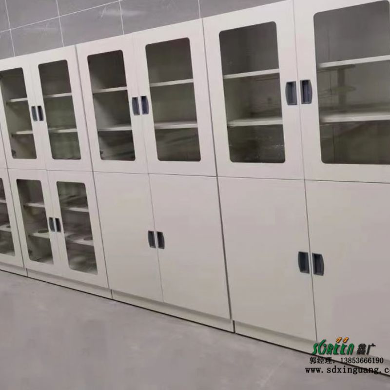 实验室钢木药品柜 试剂柜 器皿柜 化学试剂储存柜鑫广