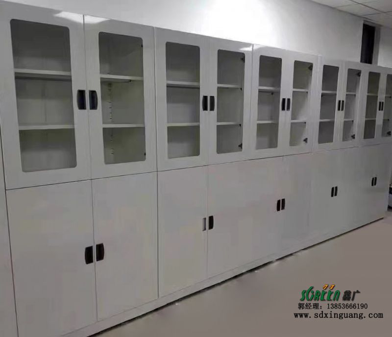 潍坊实验室装修公司实验台通风橱器皿柜设备定制