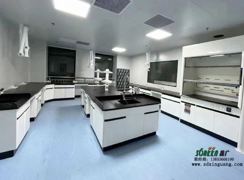 潍坊实验室设备 全钢实验台 化验室边台 通风柜 器皿柜