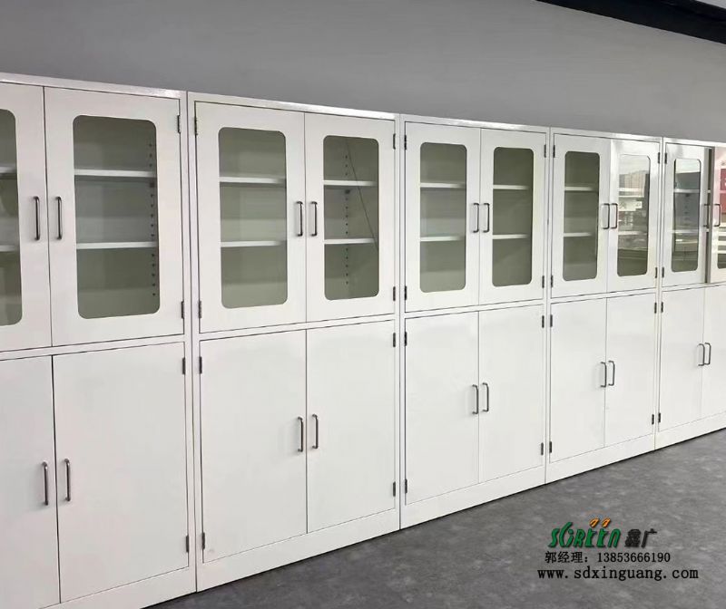 鑫广实验室设备存储柜 耐酸碱试剂柜生产厂家