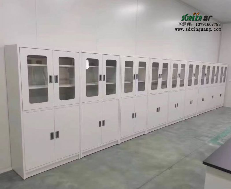 山东实验台厂家全钢试剂柜实验室器皿柜