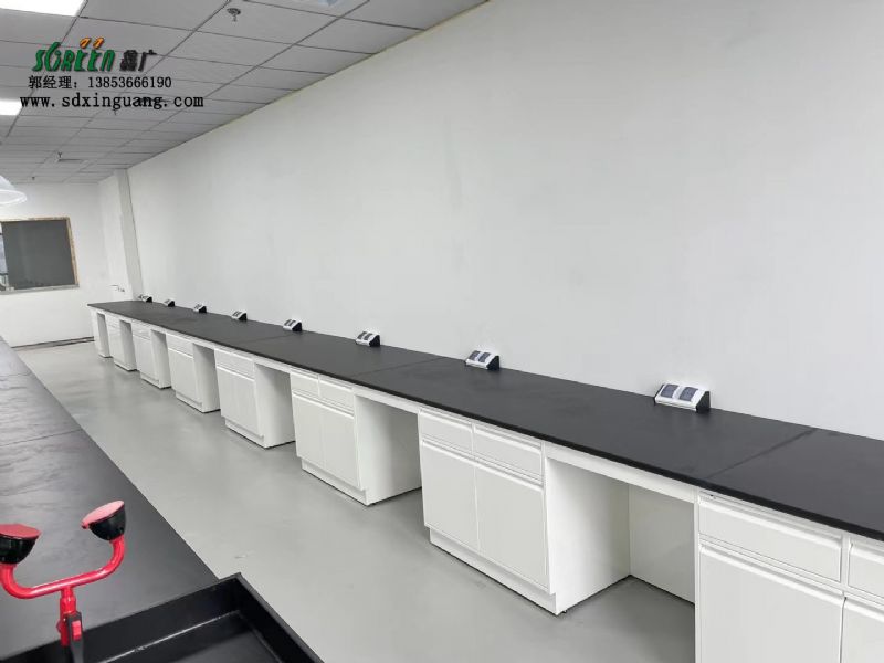 潍坊试验台厂家实验台家具全钢试剂柜厂家供应