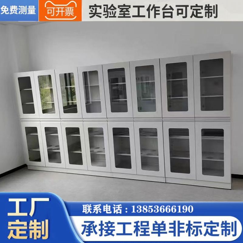 潍坊实验台厂家 实验室化学试剂柜 样品化验室仪器柜